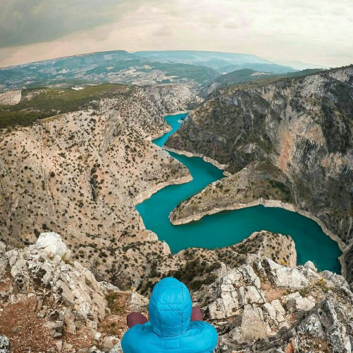 Profile picture of user Rustamkulov Muhammadali