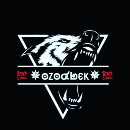 Profile picture of user Ozodbek