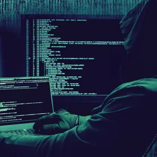 Profile picture of user programmer