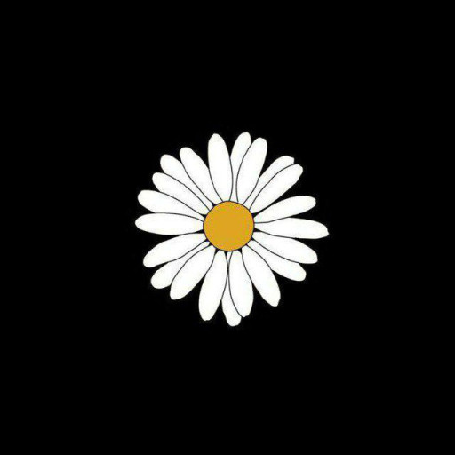 Profile picture of user Shodmonqulova Nafisa Noryigit qizi