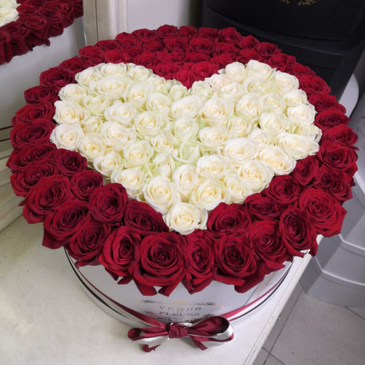 Profile picture of user Shahzoda Erkinova