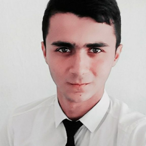 Profile picture of user Ramziddin Xalilov