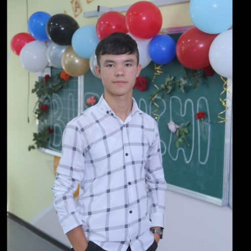 Profile picture of user bahodirmuhammadsoliyev