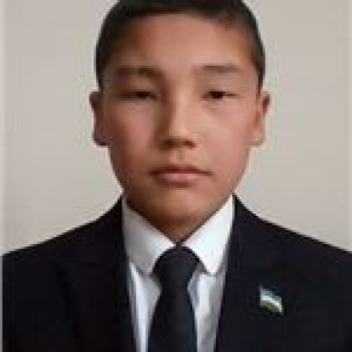 Profile picture of user Alisher Xamrayev