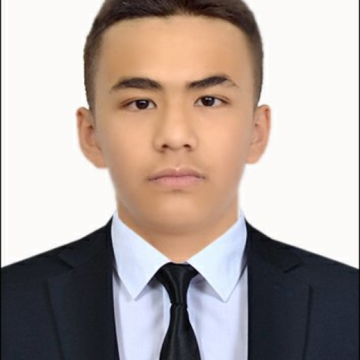 Profile picture of user Azizbek Maxsutboyev