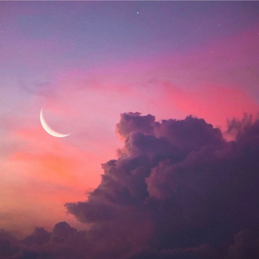 Profile picture of user Rahmonova Xursheda