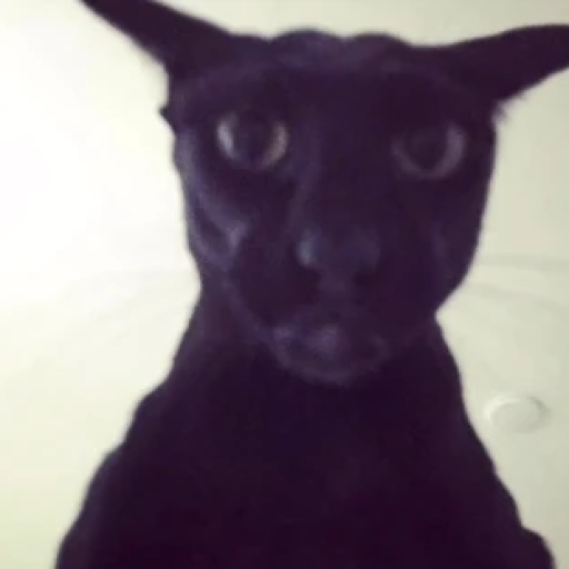 Profile picture of user Qodiraliyev Akbarjon