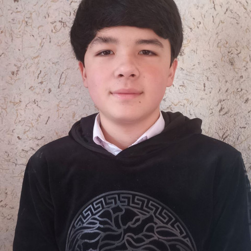 Profile picture of user Davronbek Tolqinjonov