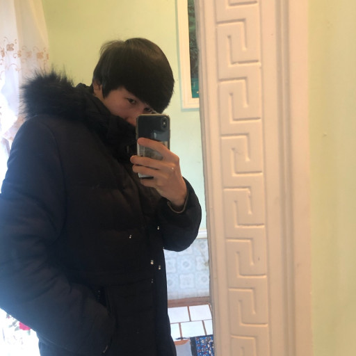 Profile picture of user Asadbek Yuldashov