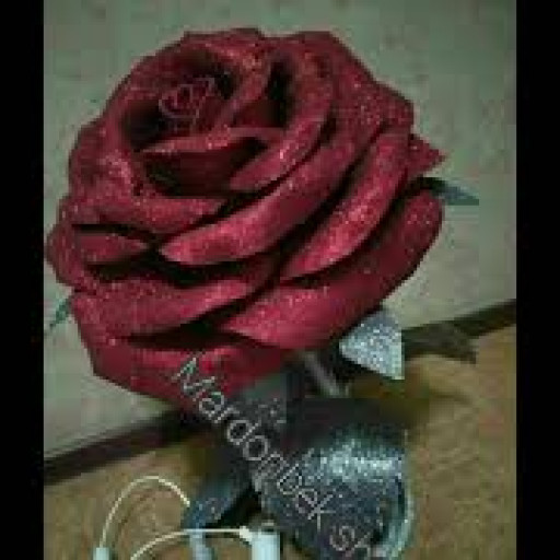 Profile picture of user abloqulova ruhshona
