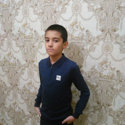 Profile picture of user Mirzo Ulug'bek Hasanov Xurshid o'g'li