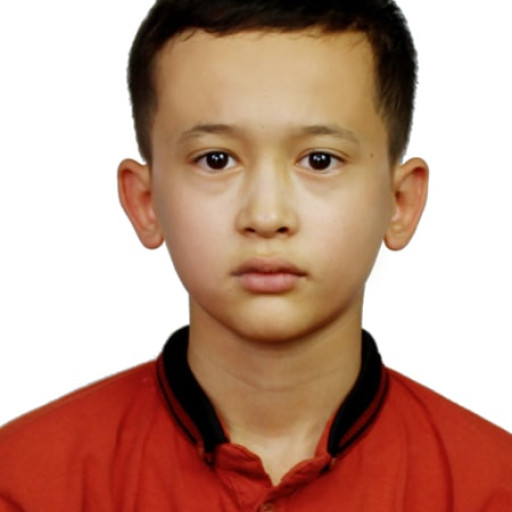 Profile picture of user Axmedov Abdulaziz
