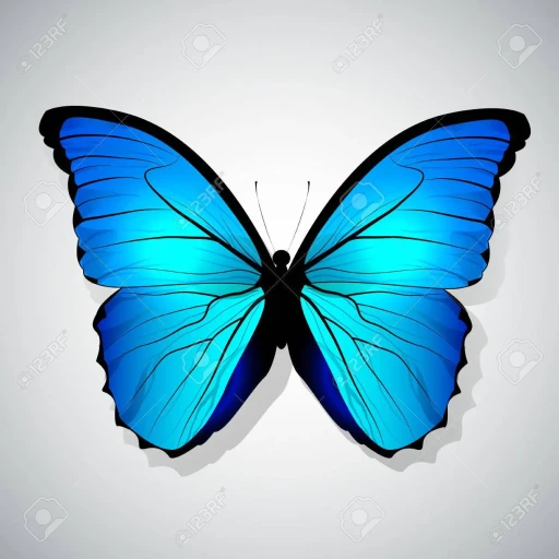 Profile picture of user IBROXIMOVA DILNURA ALISHER QIZI