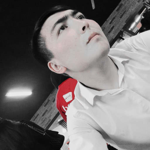 Profile picture of user Kuldashaliyev Sherbek Doniyor o'g'li