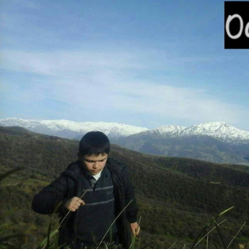 Profile picture of user Asomiddinov Xamza  Sharofiddin o'g'li