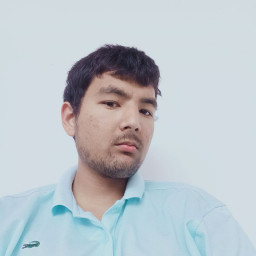 Profile picture of user Ibragimov Mamurjon