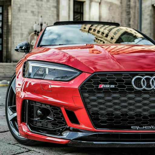 Profile picture of user Xabibullayev Asadbek Sahobiddin o'g'li