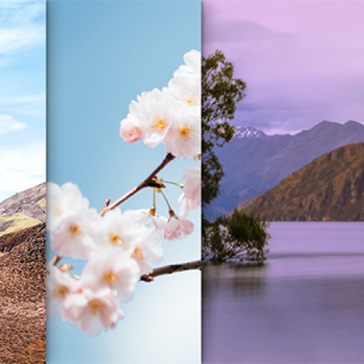 Profile picture of user Qahhorova Sevinch Hislat qizi