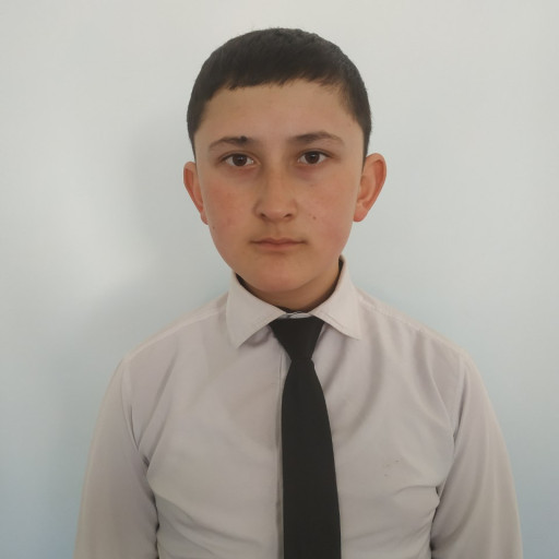 Profile picture of user Murodov Elyorbek Umarali o'g'li
