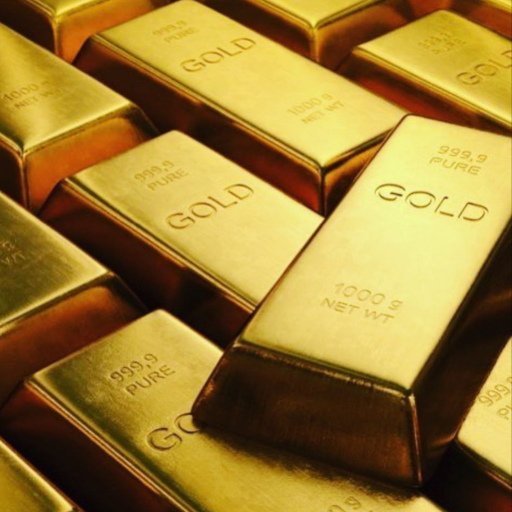 Profile picture of user Shermuxammad Toshtemirov