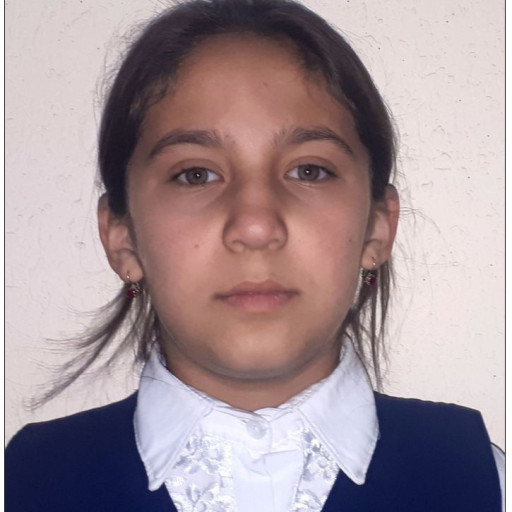 Profile picture of user Ibragimova Gulbahor