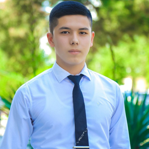 Profile picture of user Asadbek Xudayberdiyev