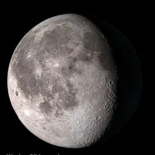 Profile picture of user Husen Temurov