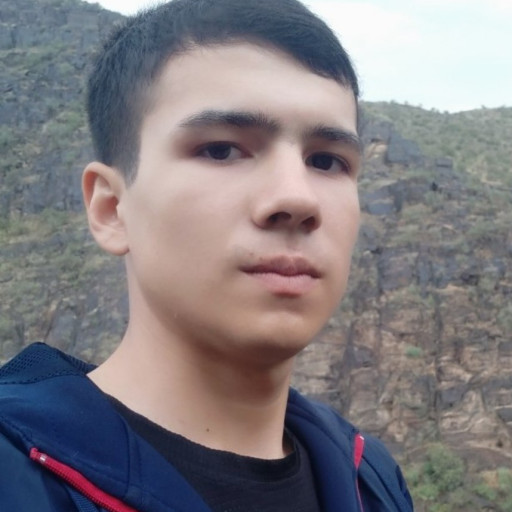 Profile picture of user Sardor