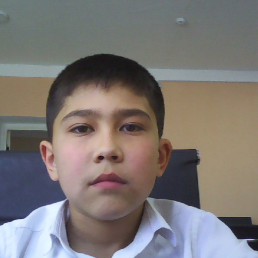 Profile picture of user Aslambek Ravshanov PIIMA
