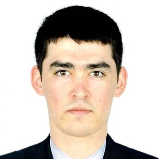 Profile picture of user Zafarbek Artikbaev