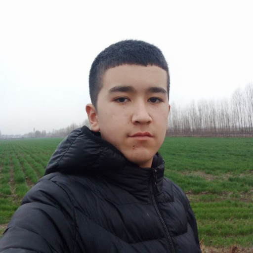 Profile picture of user Yuldashboyev Muslimbek