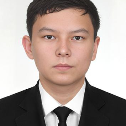 Profile picture of user Afzalbek Adhamov