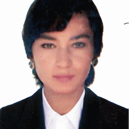 Profile picture of user Nafisa Egamnazarova