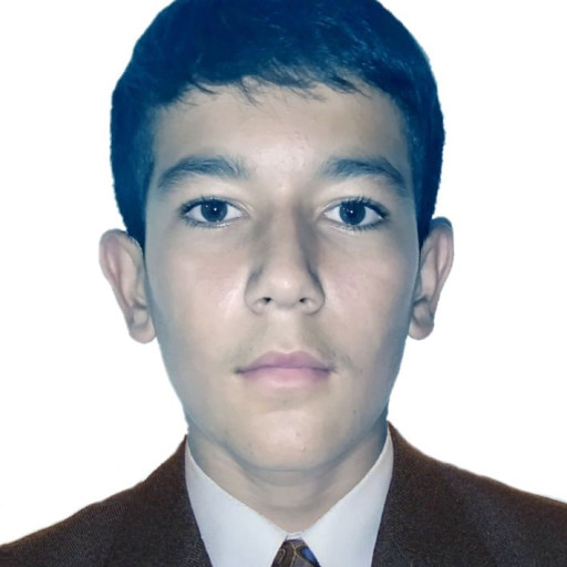 Profile picture of user Ibrohim Pardaboyev