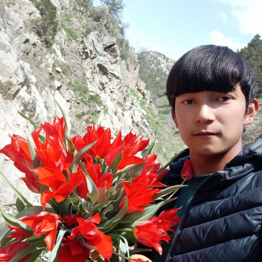 Profile picture of user Sardor  Normurodov