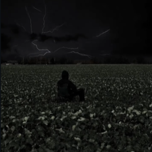 Profile picture of user O`ktamov Bexruzbek