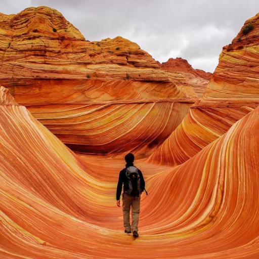 Profile picture of user ......