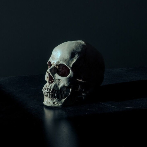 Profile picture of user miraziz