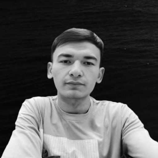 Profile picture of user Samandarbek Yigitaliyev