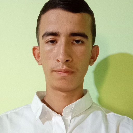 Profile picture of user Shahzod Ibragimov