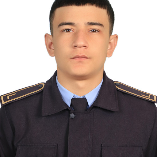 Profile picture of user Hamza Bozorboyev
