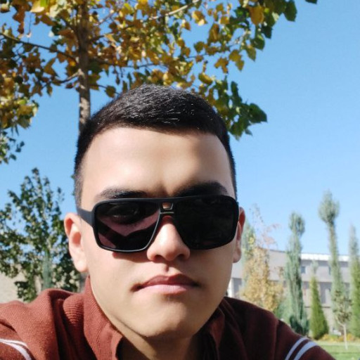 Profile picture of user Rustam Mahmudov