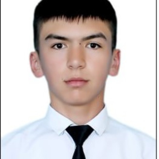 Profile picture of user Mirzoulug' Ergashev