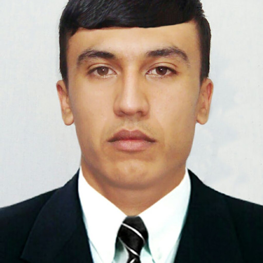 Profile picture of user Ahmedov Mehrobiddin