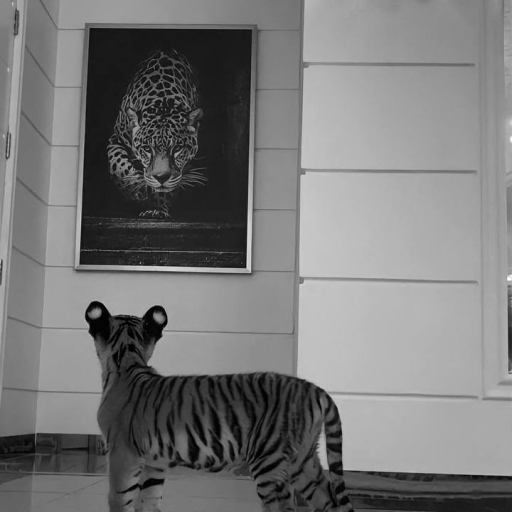 Profile picture of user Asadbek Bahodirov