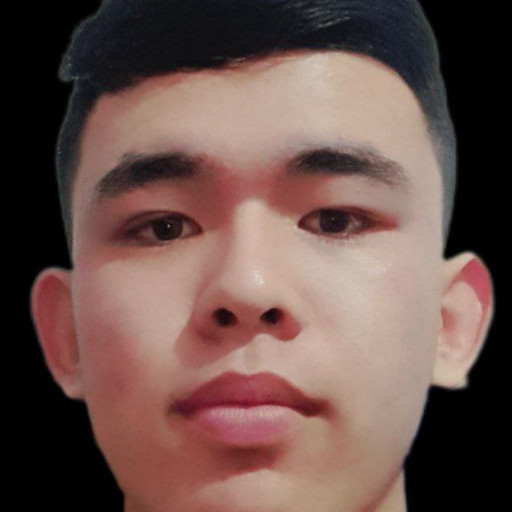 Profile picture of user Jalgasbaev Muxammedqadir