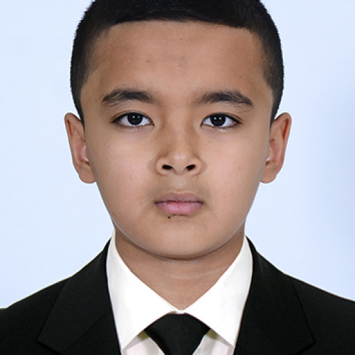 Profile picture of user Ulug'bek Shirinboyev