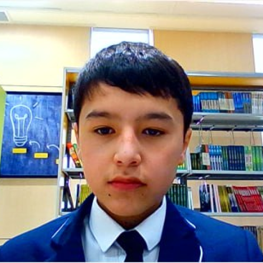 Profile picture of user Hasanjon Saidov