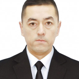 Profile picture of user Tolip Umarov