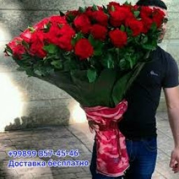 Profile picture of user Ixlosbek Dilmurodjonov